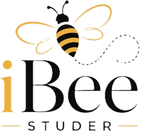 iBee Studer logo